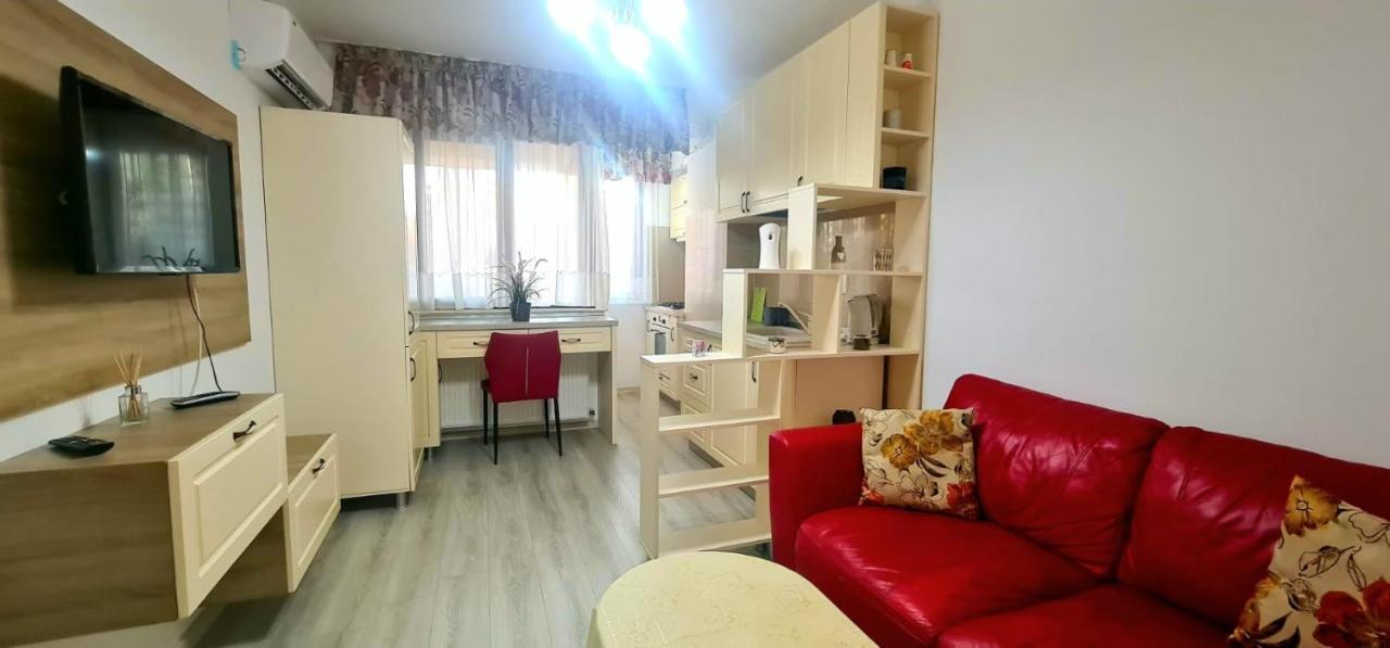 Elyse Comfortable Apartment Close To Palas Mall Iasi Extérieur photo